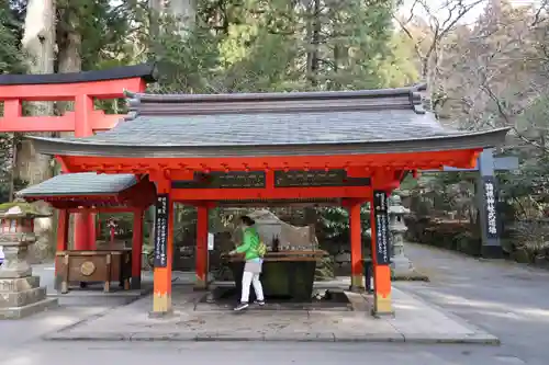 箱根神社の手水舎