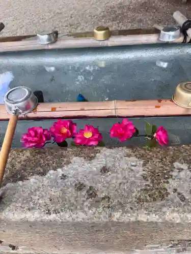 京都乃木神社の{uncategorized: "未分類", other: "その他", undefined: "問題あり", building: "その他建物", grave: "お墓", sacred_gate: "鳥居", guardian: "狛犬", statue: "像", buddha: "仏像", history: "歴史", nature: "自然", garden: "庭園", animal: "動物", pagoda: "塔", temizu: "手水舎", mountain_gate: "山門・神門", sanctuary: "本殿・本堂", subordinate: "末社・摂社", art: "芸術", scenery: "景色", jizo: "地蔵", ema: "絵馬", goshuin: "御朱印", omikuji: "おみくじ", items: "授与品その他", amulet: "お守り", goshuincho: "御朱印帳", eats: "食事", festival: "お祭り", votive_dance: "神楽", shichigosan: "七五三参", wedding: "結婚式", experience: "体験その他", initially: "初詣", around: "周辺", anti_infection: "感染症対策"}