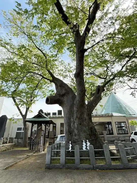 阿邪訶根神社の{uncategorized: "未分類", other: "その他", undefined: "問題あり", building: "その他建物", grave: "お墓", sacred_gate: "鳥居", guardian: "狛犬", statue: "像", buddha: "仏像", history: "歴史", nature: "自然", garden: "庭園", animal: "動物", pagoda: "塔", temizu: "手水舎", mountain_gate: "山門・神門", sanctuary: "本殿・本堂", subordinate: "末社・摂社", art: "芸術", scenery: "景色", jizo: "地蔵", ema: "絵馬", goshuin: "御朱印", omikuji: "おみくじ", items: "授与品その他", amulet: "お守り", goshuincho: "御朱印帳", eats: "食事", festival: "お祭り", votive_dance: "神楽", shichigosan: "七五三参", wedding: "結婚式", experience: "体験その他", initially: "初詣", around: "周辺", anti_infection: "感染症対策"}