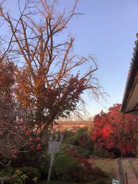 龍照院(常楽寺)(愛知県)