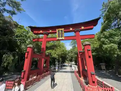 気比神社の{uncategorized: "未分類", other: "その他", undefined: "問題あり", building: "その他建物", grave: "お墓", sacred_gate: "鳥居", guardian: "狛犬", statue: "像", buddha: "仏像", history: "歴史", nature: "自然", garden: "庭園", animal: "動物", pagoda: "塔", temizu: "手水舎", mountain_gate: "山門・神門", sanctuary: "本殿・本堂", subordinate: "末社・摂社", art: "芸術", scenery: "景色", jizo: "地蔵", ema: "絵馬", goshuin: "御朱印", omikuji: "おみくじ", items: "授与品その他", amulet: "お守り", goshuincho: "御朱印帳", eats: "食事", festival: "お祭り", votive_dance: "神楽", shichigosan: "七五三参", wedding: "結婚式", experience: "体験その他", initially: "初詣", around: "周辺", anti_infection: "感染症対策"}