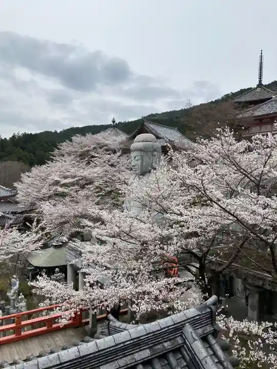 南法華寺(壷阪寺)(奈良県)