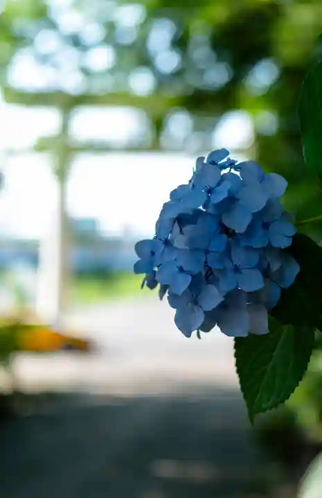 雄山神社前立社壇(富山県)