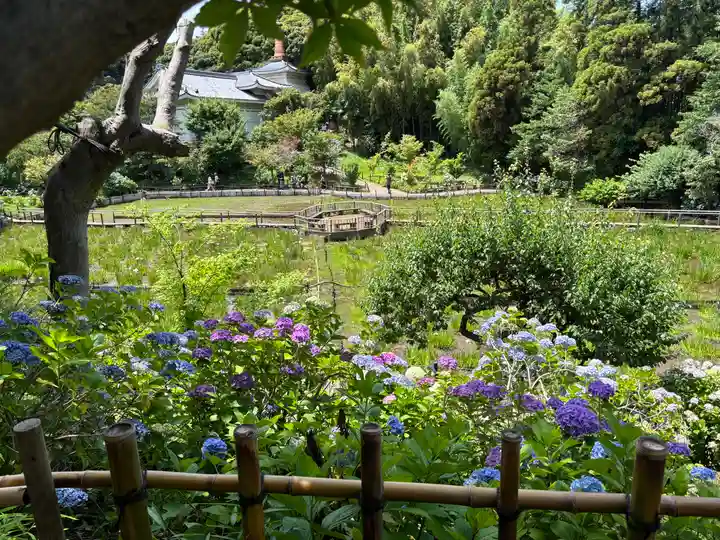 本土寺(千葉県)