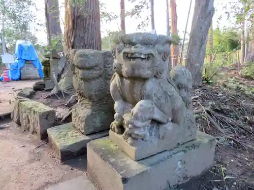 鶴峯八幡宮の狛犬