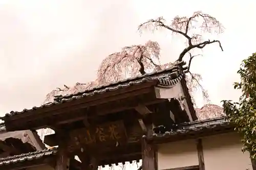法蓮寺(愛媛県)