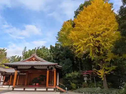 阿佐ヶ谷神明宮(東京都)