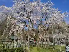 足羽神社(福井県)