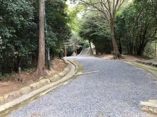 安仁神社の自然