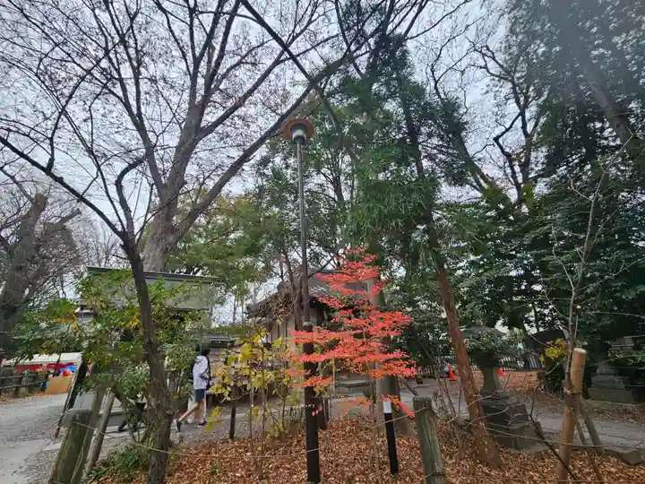 調神社(埼玉県)
