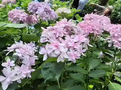 長谷寺(神奈川県)