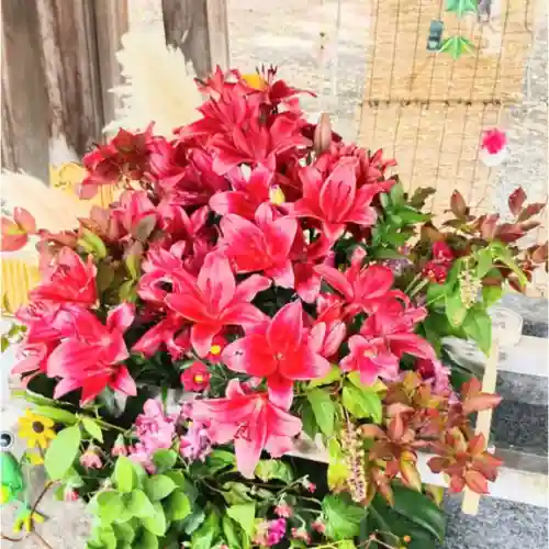 彌彦神社　(伊夜日子神社)(北海道)