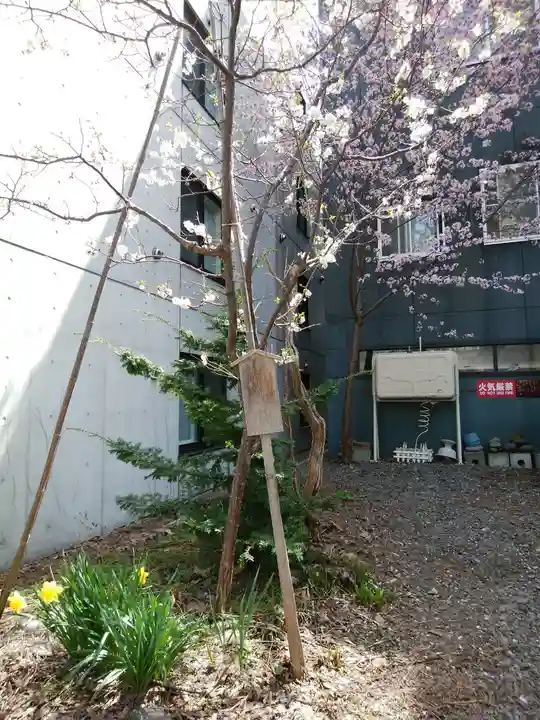札幌諏訪神社の自然