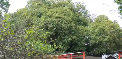 冠稲荷神社(群馬県)