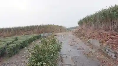 桃澤神社(愛鷹明神)中宮(静岡県)