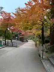 清水寺の自然