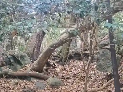 出雲大神宮(京都府)
