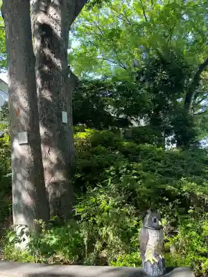 猿楽神社の{uncategorized: "未分類", other: "その他", undefined: "問題あり", building: "その他建物", grave: "お墓", sacred_gate: "鳥居", guardian: "狛犬", statue: "像", buddha: "仏像", history: "歴史", nature: "自然", garden: "庭園", animal: "動物", pagoda: "塔", temizu: "手水舎", mountain_gate: "山門・神門", sanctuary: "本殿・本堂", subordinate: "末社・摂社", art: "芸術", scenery: "景色", jizo: "地蔵", ema: "絵馬", goshuin: "御朱印", omikuji: "おみくじ", items: "授与品その他", amulet: "お守り", goshuincho: "御朱印帳", eats: "食事", festival: "お祭り", votive_dance: "神楽", shichigosan: "七五三参", wedding: "結婚式", experience: "体験その他", initially: "初詣", around: "周辺", anti_infection: "感染症対策"}