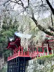 清水寺(長野県)