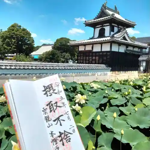 雲龍山 本證寺の御朱印