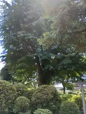 根津神社(東京都)