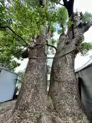 阿保神社(大阪府)