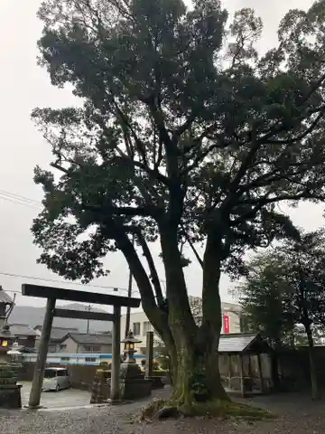 引本神社(三重県)