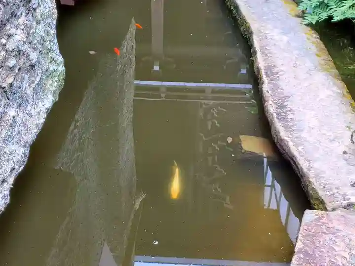 生石神社の動物