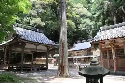 武曾日吉神社（武曾横山）(滋賀県)