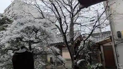 宝蔵寺(京都府)