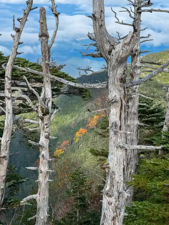 横岳神社(長野県)