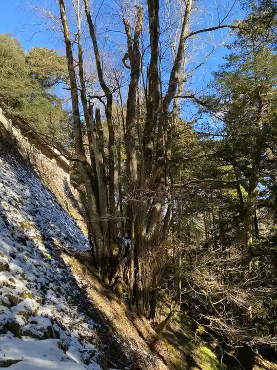 穴門山神社(岡山県)
