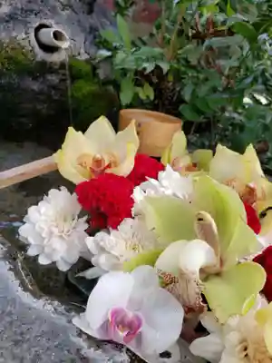 本郷氷川神社(東京都)