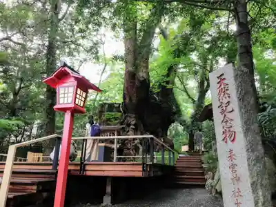 來宮神社のその他建物