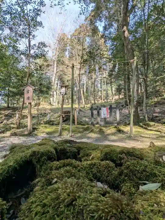 出雲大神宮の{uncategorized: "未分類", other: "その他", undefined: "問題あり", building: "その他建物", grave: "お墓", sacred_gate: "鳥居", guardian: "狛犬", statue: "像", buddha: "仏像", history: "歴史", nature: "自然", garden: "庭園", animal: "動物", pagoda: "塔", temizu: "手水舎", mountain_gate: "山門・神門", sanctuary: "本殿・本堂", subordinate: "末社・摂社", art: "芸術", scenery: "景色", jizo: "地蔵", ema: "絵馬", goshuin: "御朱印", omikuji: "おみくじ", items: "授与品その他", amulet: "お守り", goshuincho: "御朱印帳", eats: "食事", festival: "お祭り", votive_dance: "神楽", shichigosan: "七五三参", wedding: "結婚式", experience: "体験その他", initially: "初詣", around: "周辺", anti_infection: "感染症対策"}