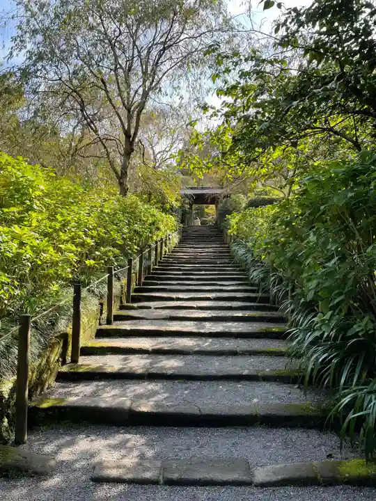 明月院(神奈川県)