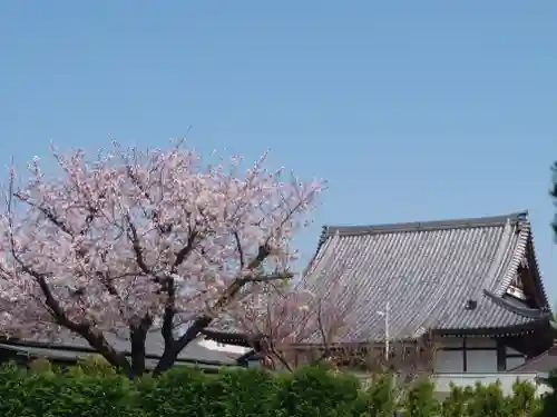龍前院(神奈川県)
