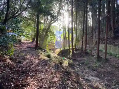 金刀比羅神社の周辺