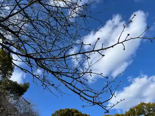 石清水八幡宮(京都府)