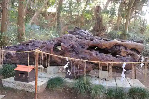 泉神社(茨城県)