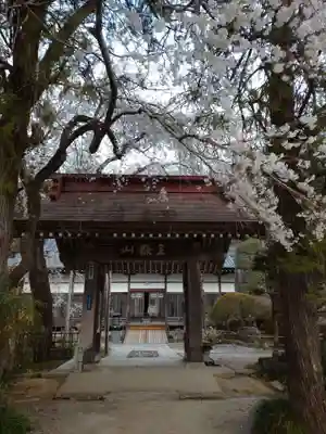 法善寺の山門・神門