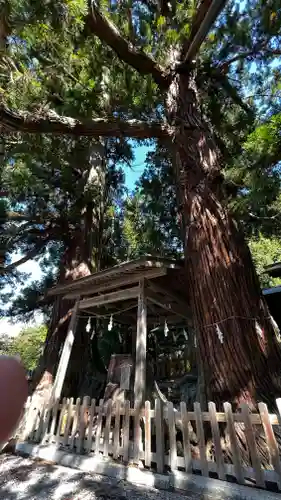 仁科神明宮(長野県)