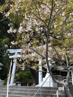 事任八幡宮のその他建物