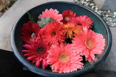 豊景神社の手水舎