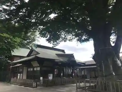 熊野宮の本殿・本堂