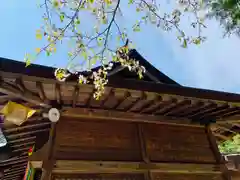 滑川神社 - 仕事と子どもの守り神の本殿