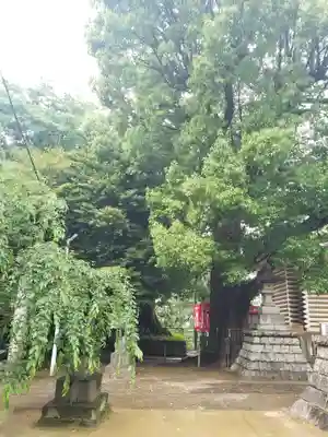 諏訪神社のその他建物