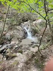 猿投神社の自然