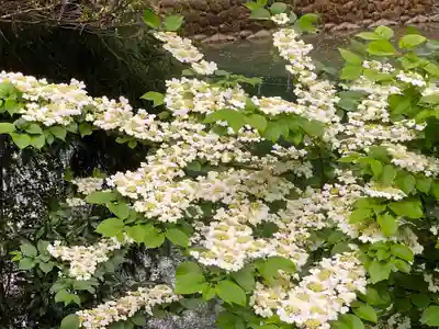 木曽三社神社の自然