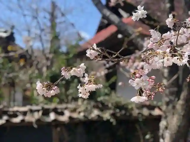木舟山 順教寺の自然
